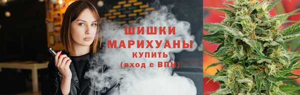 эйфоретик Няндома