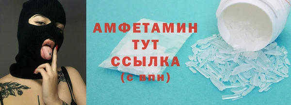эйфоретик Няндома