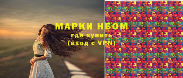 эйфоретик Няндома