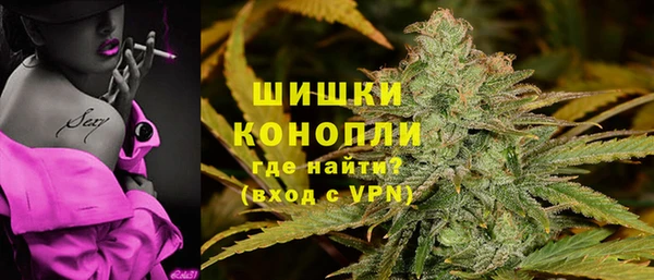 эйфоретик Няндома