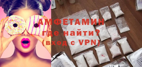 прущие грибы Мамадыш