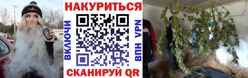 Бошки Шишки THC 21%  Магадан 